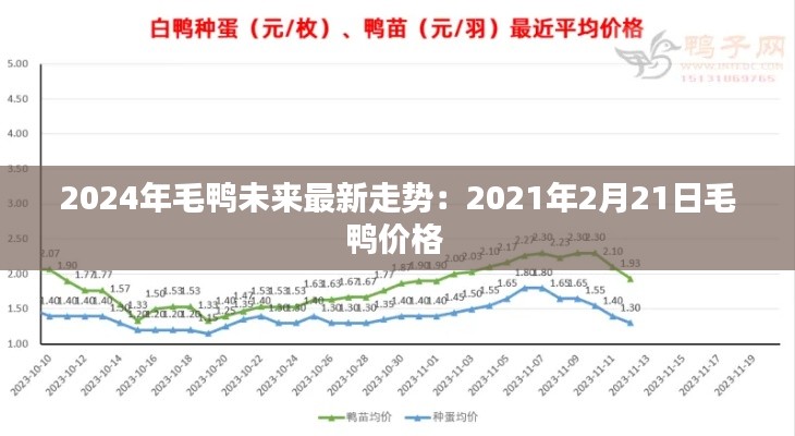 2024年毛鴨未來最新走勢(shì)：2021年2月21日毛鴨價(jià)格 