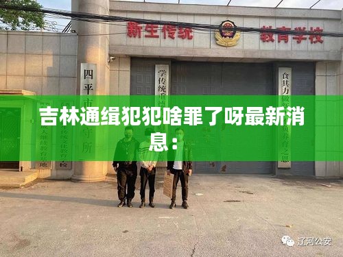 吉林通緝犯犯啥罪了呀最新消息： 