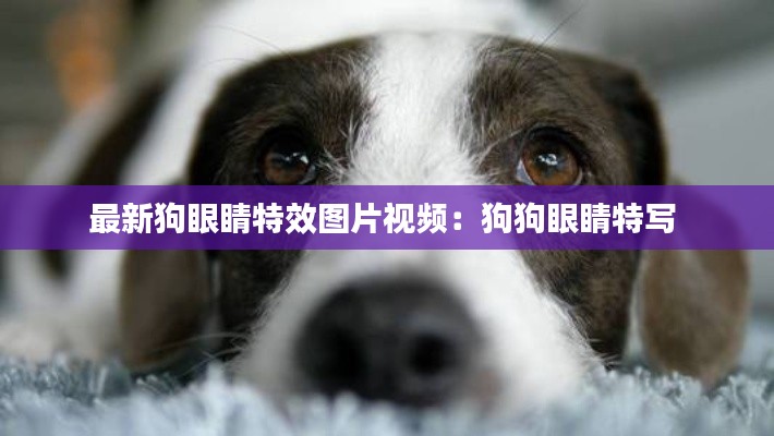 蜎飛蠢動 第3頁