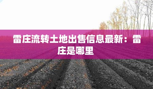 雷莊流轉(zhuǎn)土地出售信息最新：雷莊是哪里 
