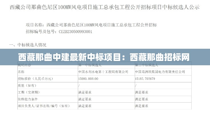 西藏那曲中建最新中標(biāo)項目：西藏那曲招標(biāo)網(wǎng) 