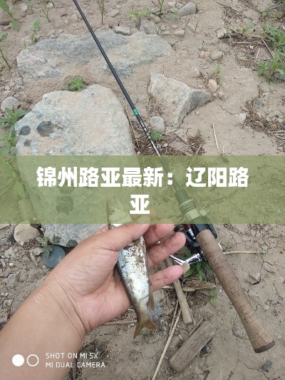 錦州路亞最新：遼陽路亞 