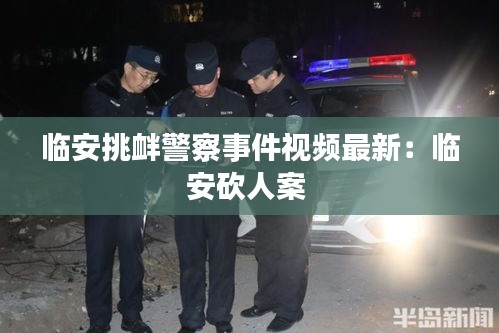 臨安挑釁警察事件視頻最新：臨安砍人案 