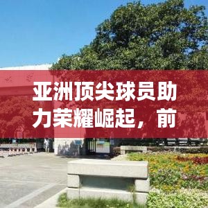 亞洲頂尖球員助力榮耀崛起，前十名將引領(lǐng)球隊輝煌之旅！