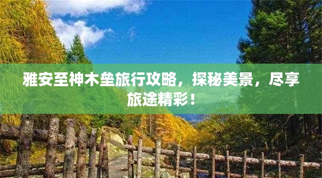 雅安至神木壘旅行攻略，探秘美景，盡享旅途精彩！