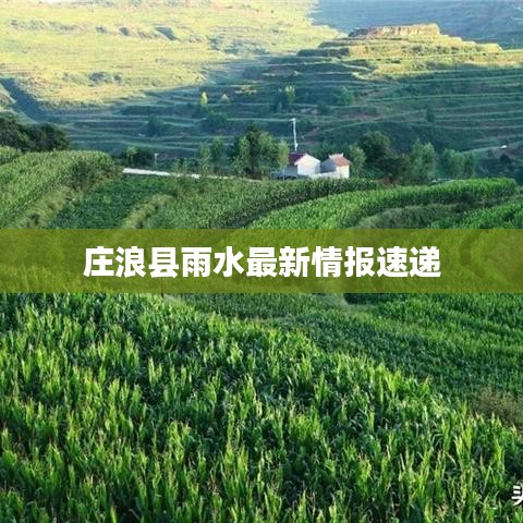 莊浪縣雨水最新情報速遞