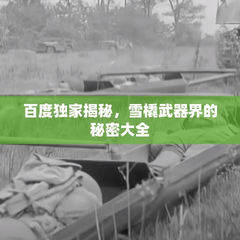 百度獨(dú)家揭秘，雪橇武器界的秘密大全