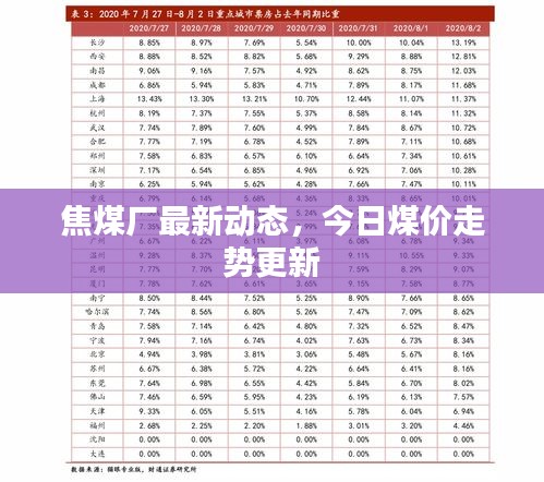 焦煤廠最新動(dòng)態(tài)，今日煤價(jià)走勢(shì)更新