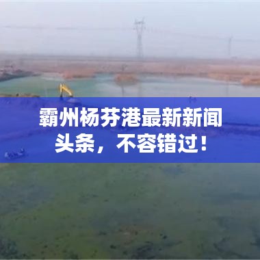 霸州楊芬港最新新聞?lì)^條，不容錯(cuò)過！