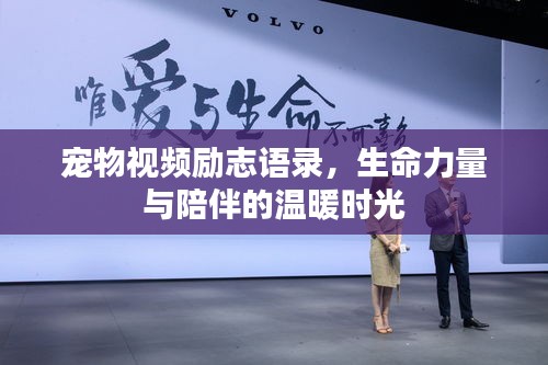 寵物視頻勵(lì)志語(yǔ)錄，生命力量與陪伴的溫暖時(shí)光