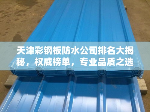 天津彩鋼板防水公司排名大揭秘，權威榜單，專業(yè)品質(zhì)之選！
