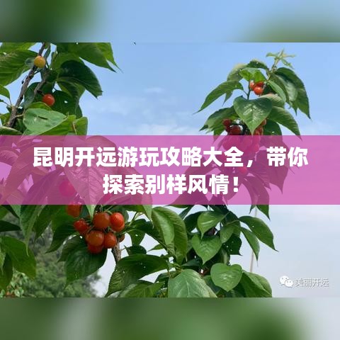 昆明開遠(yuǎn)游玩攻略大全，帶你探索別樣風(fēng)情！