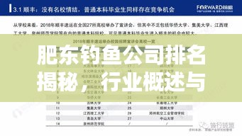 肥東釣魚(yú)公司排名揭秘，行業(yè)概述與熱門(mén)推薦