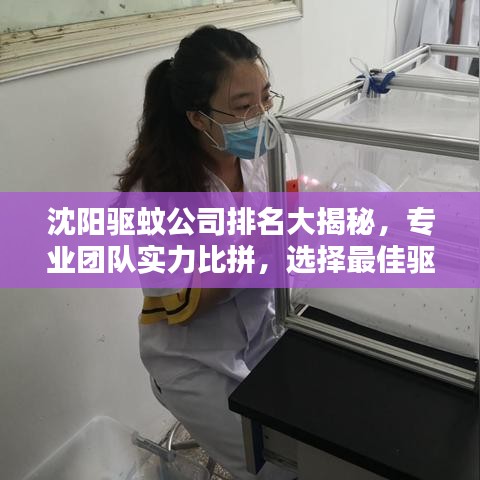 沈陽(yáng)驅(qū)蚊公司排名大揭秘，專業(yè)團(tuán)隊(duì)實(shí)力比拼，選擇最佳驅(qū)蚊服務(wù)！