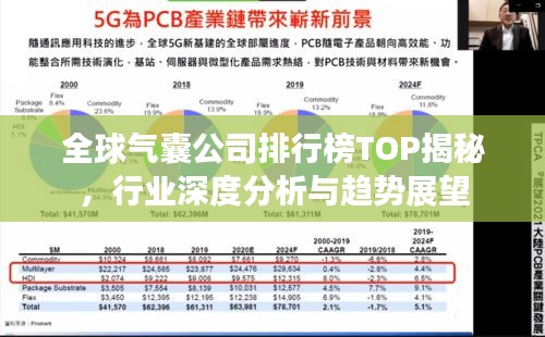 全球氣囊公司排行榜TOP揭秘，行業(yè)深度分析與趨勢(shì)展望