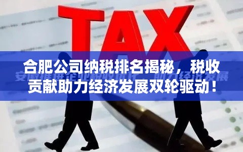 合肥公司納稅排名揭秘，稅收貢獻(xiàn)助力經(jīng)濟(jì)發(fā)展雙輪驅(qū)動(dòng)！