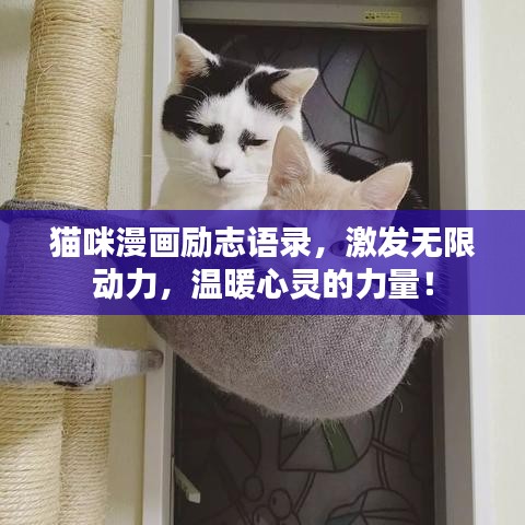 貓咪漫畫勵(lì)志語錄，激發(fā)無限動(dòng)力，溫暖心靈的力量！