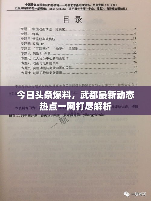 今日頭條爆料，武都最新動態(tài)熱點一網(wǎng)打盡解析