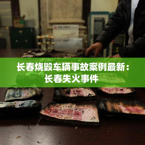 長春燒毀車輛事故案例最新：長春失火事件 