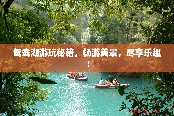 鴛鴦湖游玩秘籍，暢游美景，盡享樂趣！
