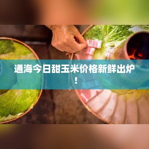 通海今日甜玉米價格新鮮出爐！