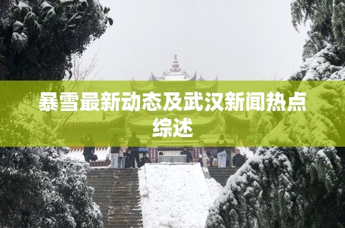 暴雪最新動(dòng)態(tài)及武漢新聞熱點(diǎn)綜述