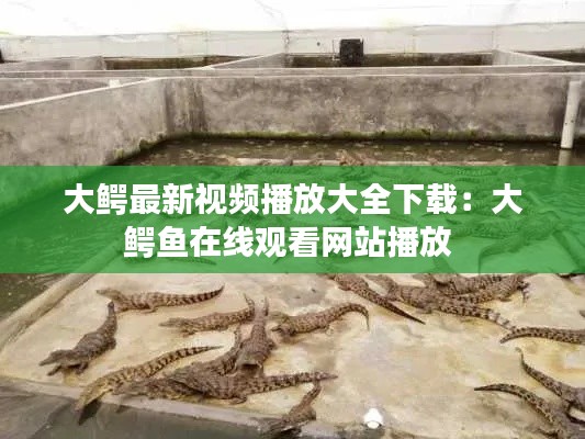 大鱷最新視頻播放大全下載：大鱷魚在線觀看網(wǎng)站播放 