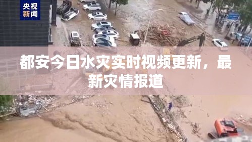 都安今日水災(zāi)實(shí)時(shí)視頻更新，最新災(zāi)情報(bào)道