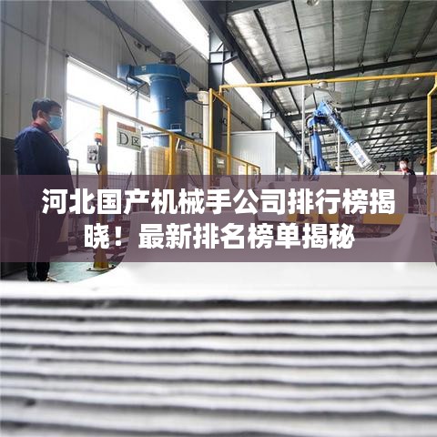 河北國(guó)產(chǎn)機(jī)械手公司排行榜揭曉！最新排名榜單揭秘