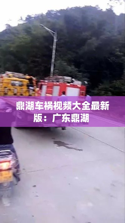 鼎湖車禍視頻大全最新版：廣東鼎湖 