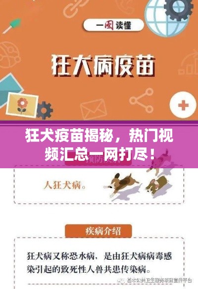 狂犬疫苗揭秘，熱門視頻匯總一網打盡！