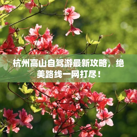 杭州高山自駕游最新攻略，絕美路線一網(wǎng)打盡！
