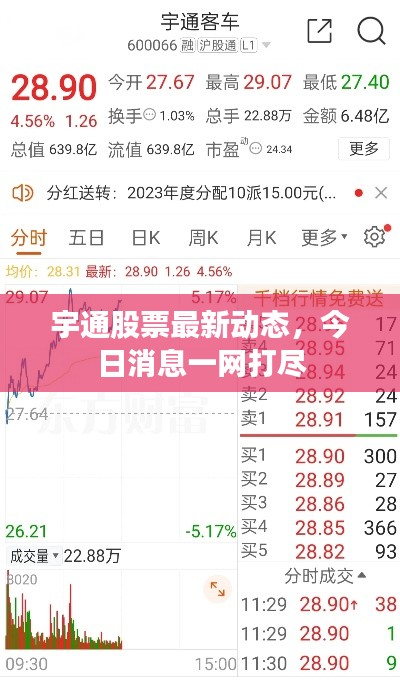 宇通股票最新動(dòng)態(tài)，今日消息一網(wǎng)打盡