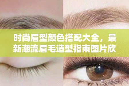 時尚眉型顏色搭配大全，最新潮流眉毛造型指南圖片欣賞