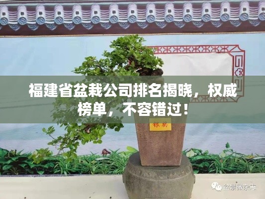 福建省盆栽公司排名揭曉，權(quán)威榜單，不容錯過！