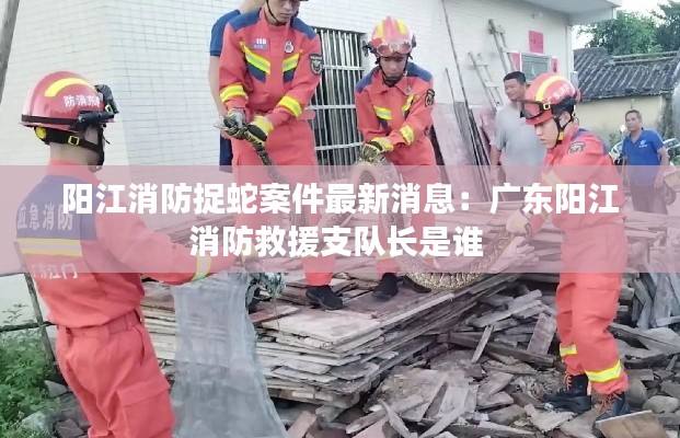 陽江消防捉蛇案件最新消息：廣東陽江消防救援支隊(duì)長是誰 