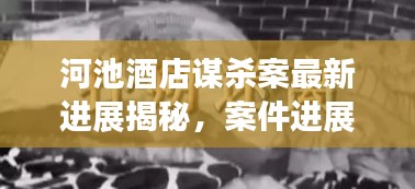 河池酒店謀殺案最新進展揭秘，案件進展令人震驚，真相逐漸浮出水面