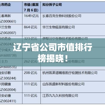 遼寧省公司市值排行榜揭曉！