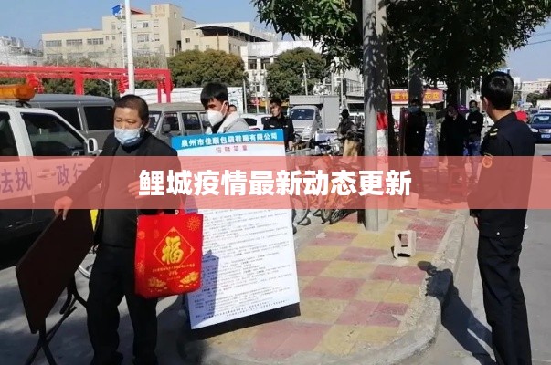 鯉城疫情最新動(dòng)態(tài)更新