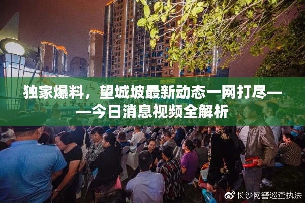 獨(dú)家爆料，望城坡最新動(dòng)態(tài)一網(wǎng)打盡——今日消息視頻全解析