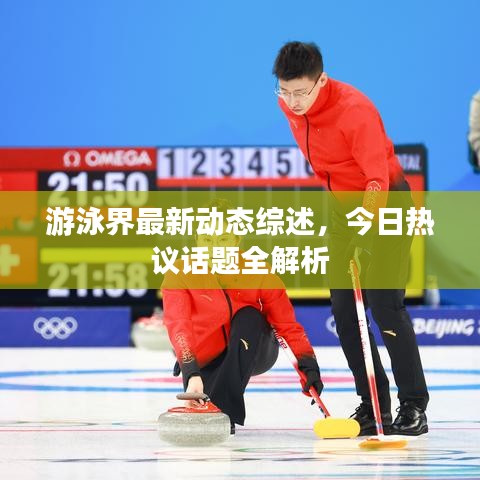 游泳界最新動態(tài)綜述，今日熱議話題全解析