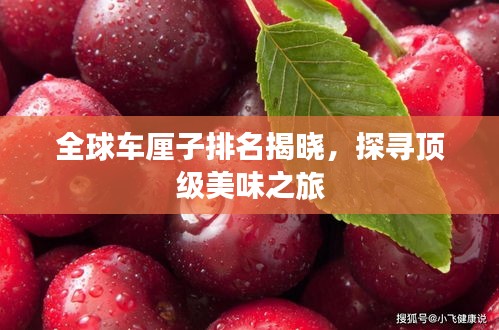 全球車?yán)遄优琶視?，探尋頂?jí)美味之旅