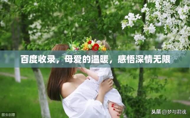 百度收錄，母愛的溫暖，感悟深情無限
