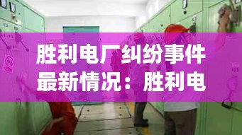 勝利電廠糾紛事件最新情況：勝利電廠全稱 