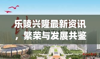 樂(lè)陵興隆最新資訊，繁榮與發(fā)展共鑒時(shí)刻