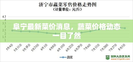阜寧最新菜價(jià)消息，蔬菜價(jià)格動態(tài)一目了然