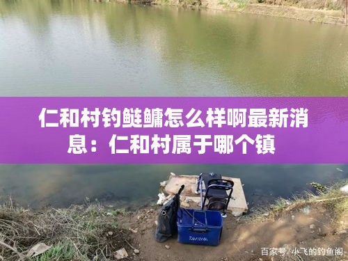 仁和村釣鰱鳙怎么樣啊最新消息：仁和村屬于哪個鎮(zhèn) 