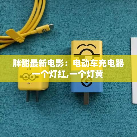 胖甜最新電影：電動車充電器一個燈紅,一個燈黃 