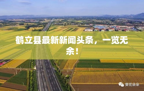 鶴立縣最新新聞?lì)^條，一覽無(wú)余！