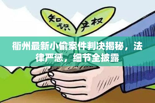 衢州最新小偷案件判決揭秘，法律嚴懲，細節(jié)全披露